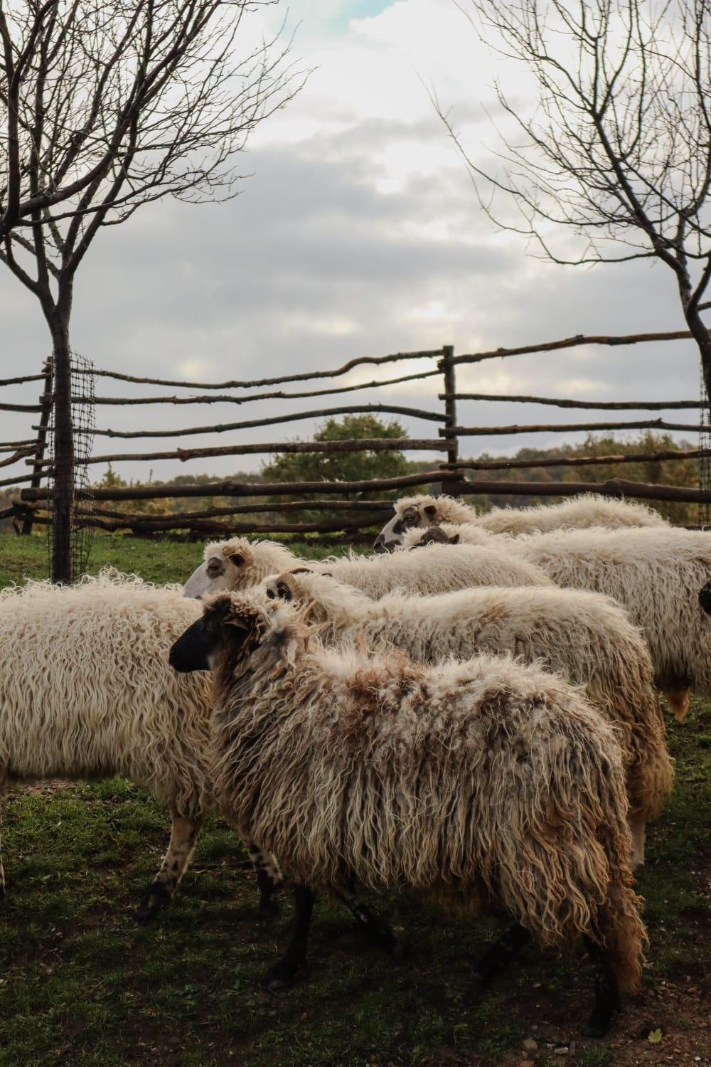 Chez Marthe, Organic Farm Stay 克宁 外观 照片