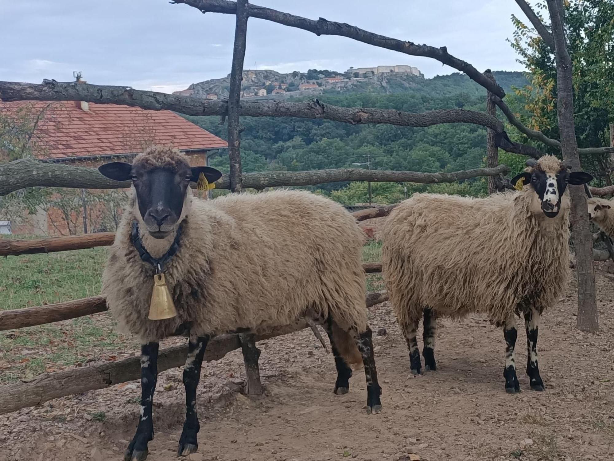 Chez Marthe, Organic Farm Stay 克宁 外观 照片